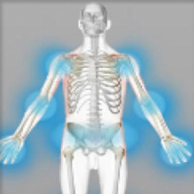 Rhumatismes, arthrose (gélules) BIO