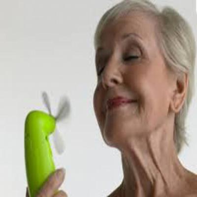 Ménopause (gélules) BIO